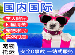 青山机场物流国际宠物托运 【国